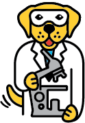 LabDogFinal_labcoat-1