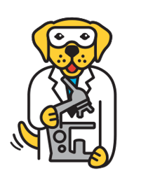 LabDogFinal_labcoat